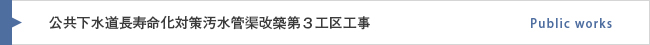 公共下水道長寿命化対策汚水管渠改築第３工区工事